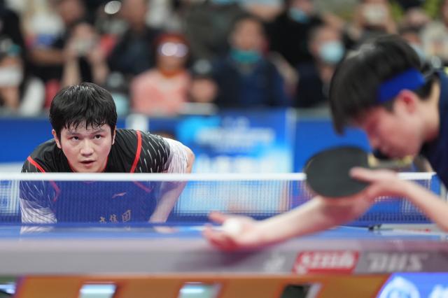 1734420019439022297.jpg 开云体育登录-樊振东回归乒超表现抢眼 赢得对王楚钦关键战役